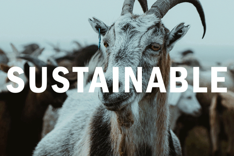 SUSTAINABLE FASHION